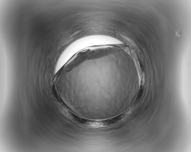 X0000084530409200703161612