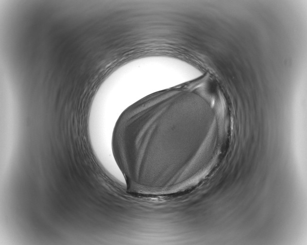 X0000084530411200703161612