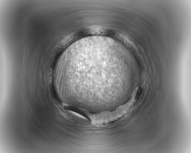 X0000084530413200703161612