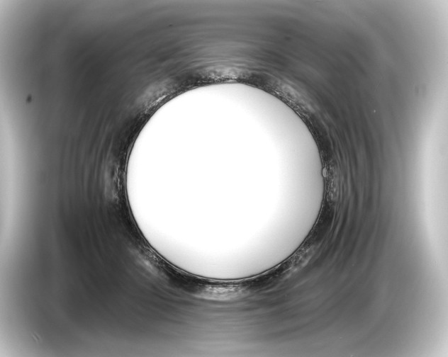 X0000084530414200703161612