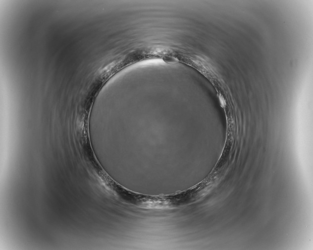 X0000084530415200703161612