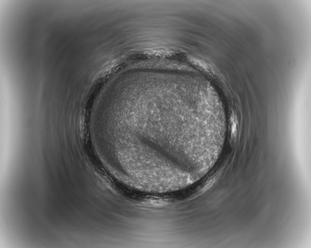 X0000084530416200703161612