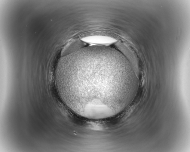 X0000084530417200703161612