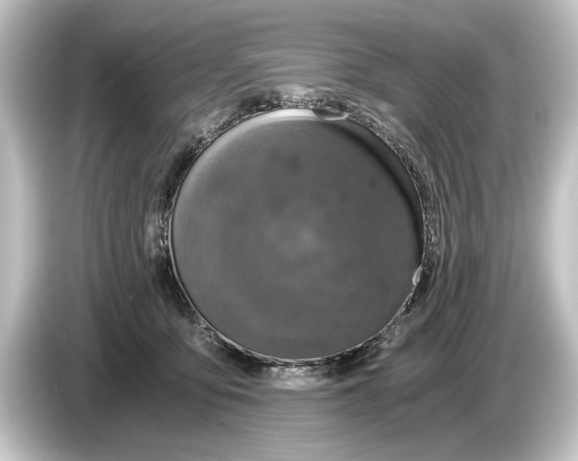 X0000084530419200703161612