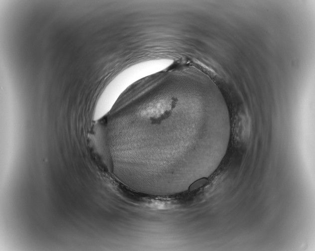 X0000084530420200703161612