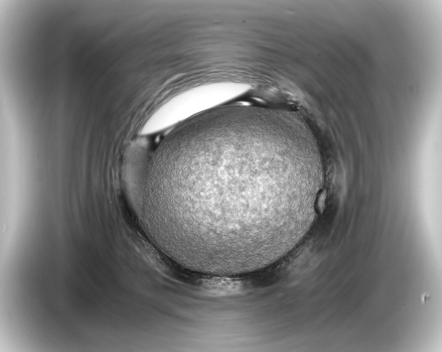 X0000084530421200703161612