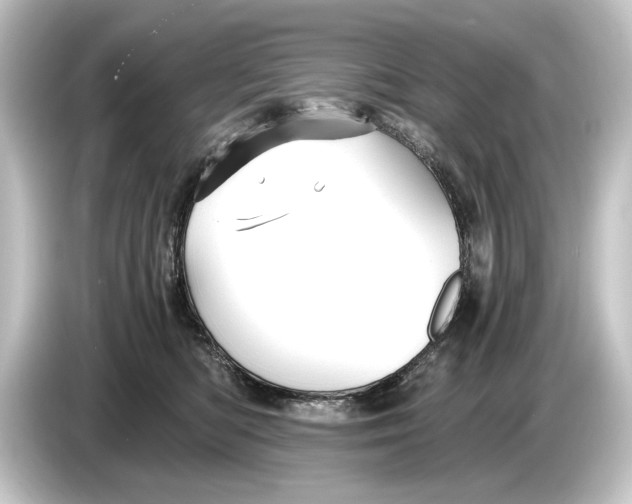 X0000084530422200703161612