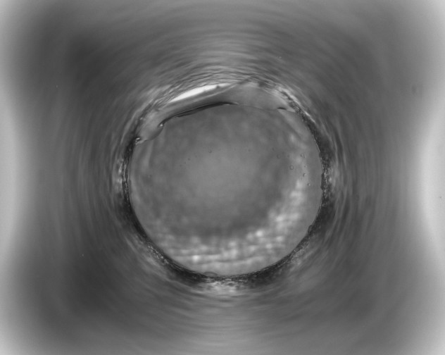 X0000084530423200703161612