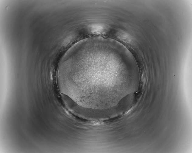 X0000084530424200703161612