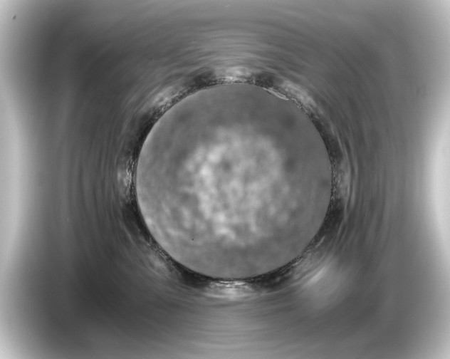 X0000084530427200703161612