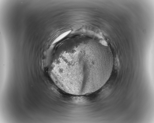 X0000084530428200703161612