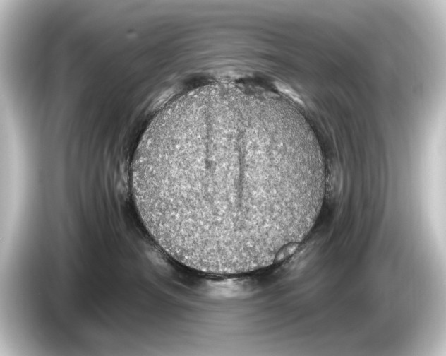 X0000084530430200703161612