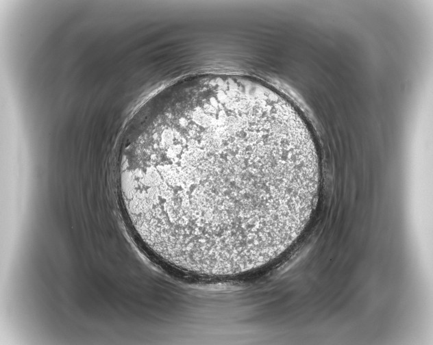 X0000084530433200703161611