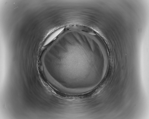 X0000084530434200703161611