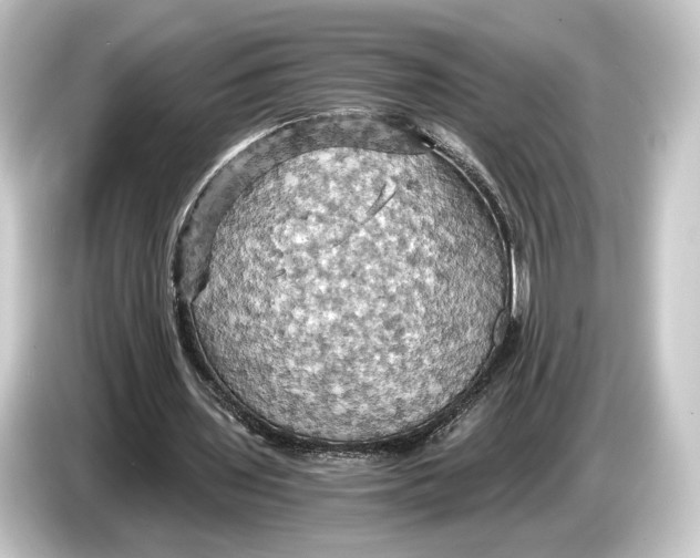 X0000084530435200703161611