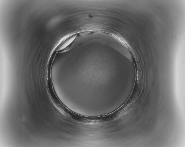 X0000084530438200703161611