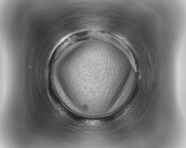 X0000084530440200703161611