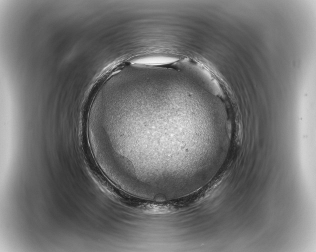 X0000084530442200703161611