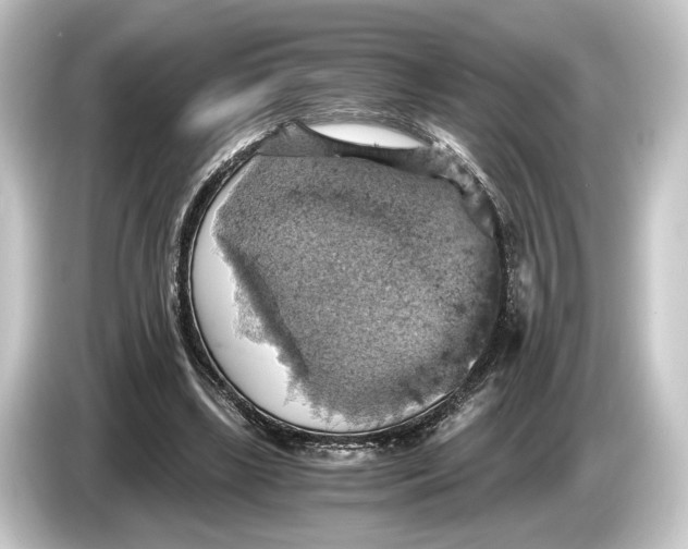 X0000084530443200703161611