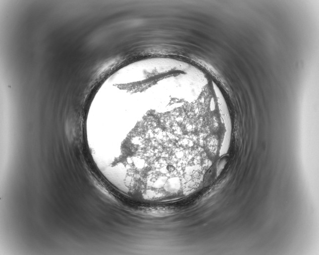 X0000084530445200703161611