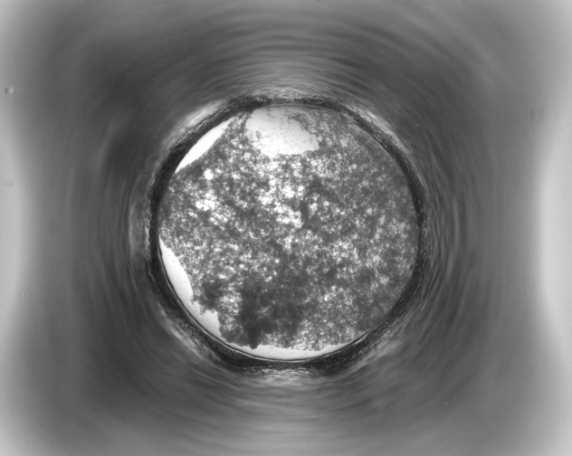 X0000084530446200703161611