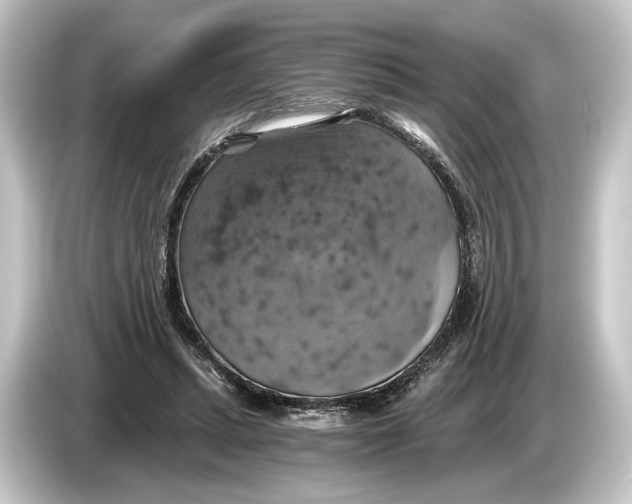 X0000084530447200703161611