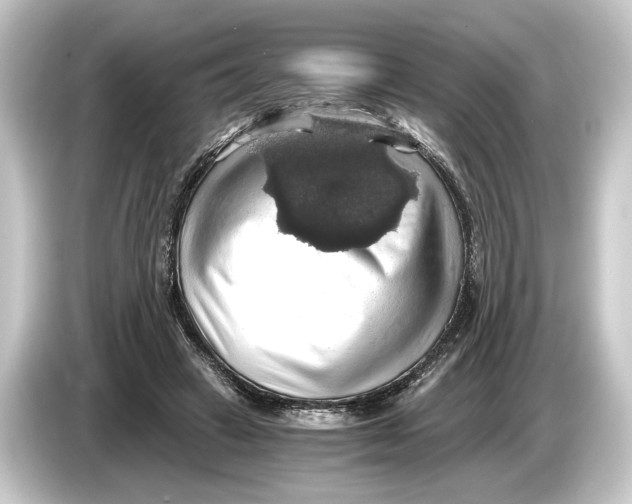 X0000084530449200703161611