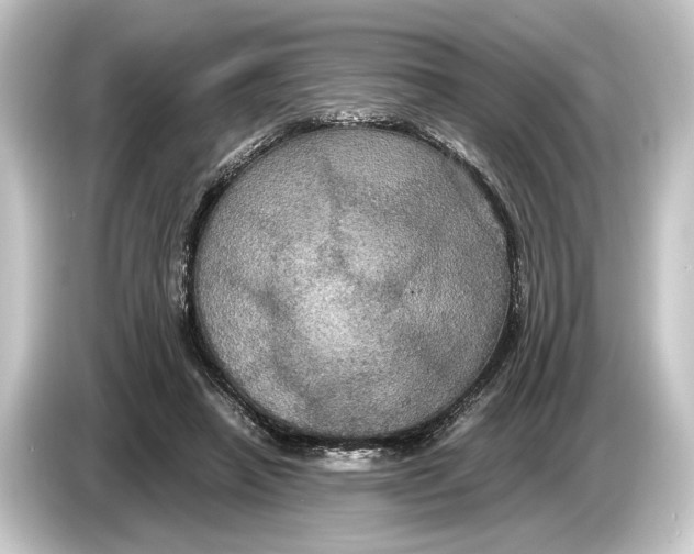 X0000084530450200703161611