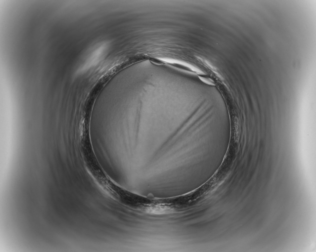 X0000084530451200703161611