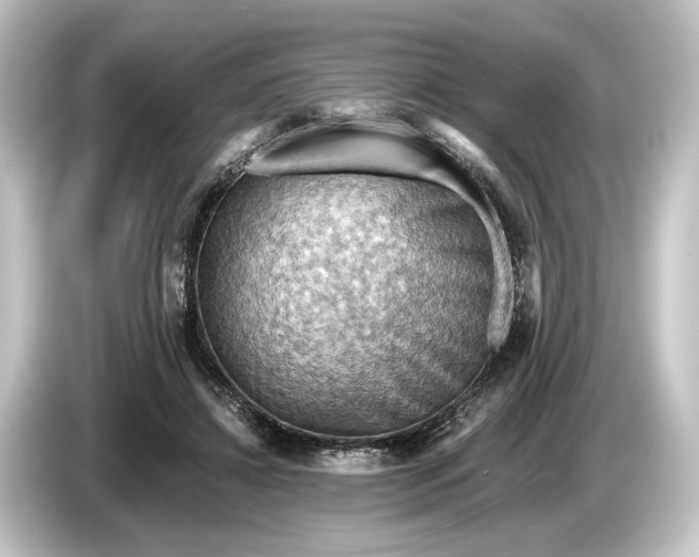 X0000084530452200703161611