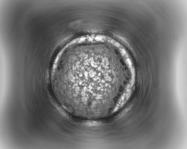 X0000084530453200703161611