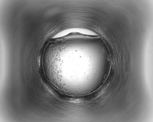 X0000084530454200703161611