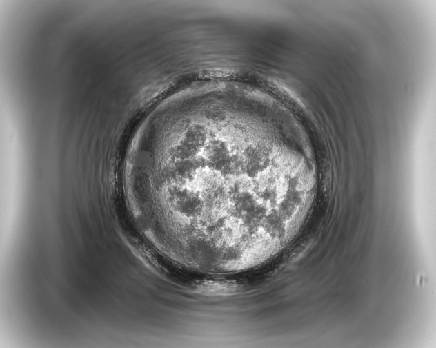 X0000084530455200703161611