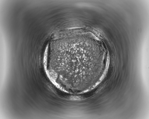 X0000084530457200703161611