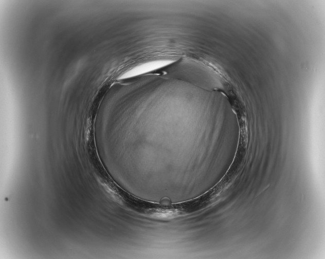 X0000084530458200703161611