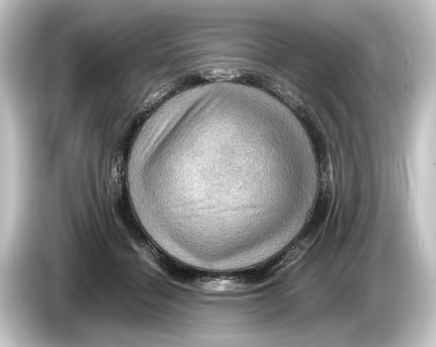 X0000084530460200703161611