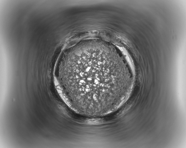 X0000084530461200703161611