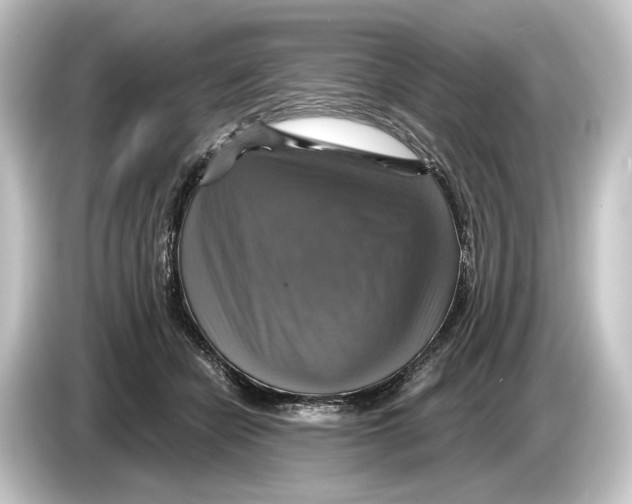 X0000084530462200703161611