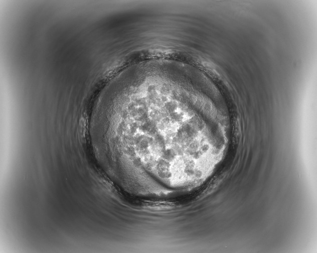 X0000084530463200703161611