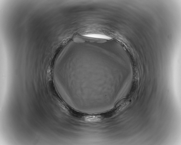 X0000084530465200703161612