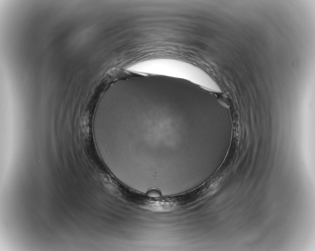 X0000084530466200703161612