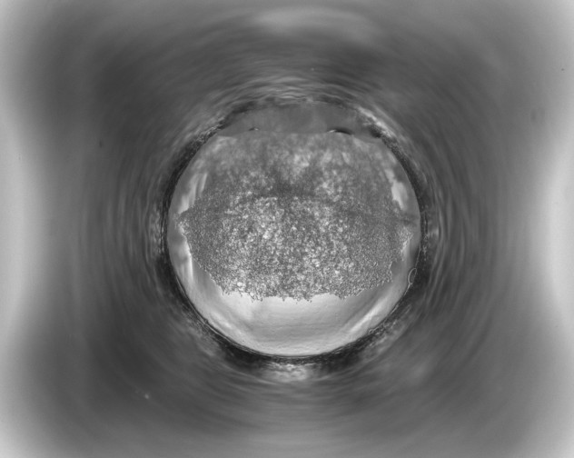 X0000084530469200703161612