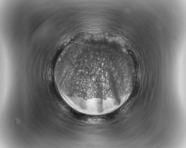 X0000084530470200703161612