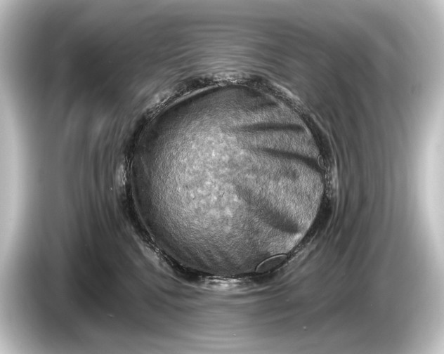 X0000084530472200703161612