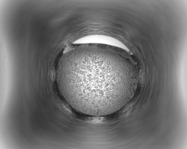 X0000084530474200703161612