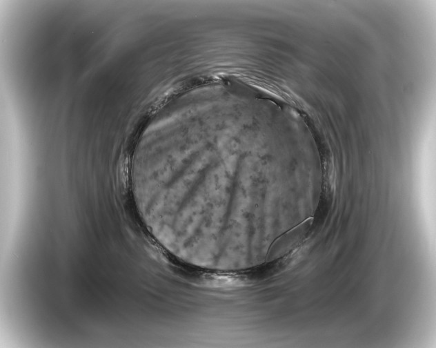 X0000084530475200703161612