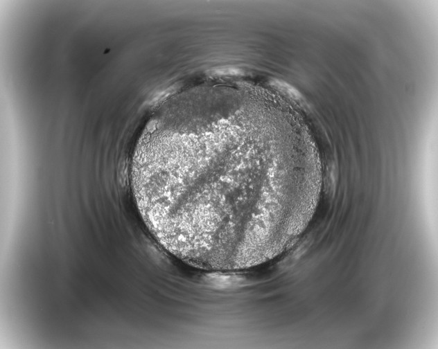 X0000084530477200703161612