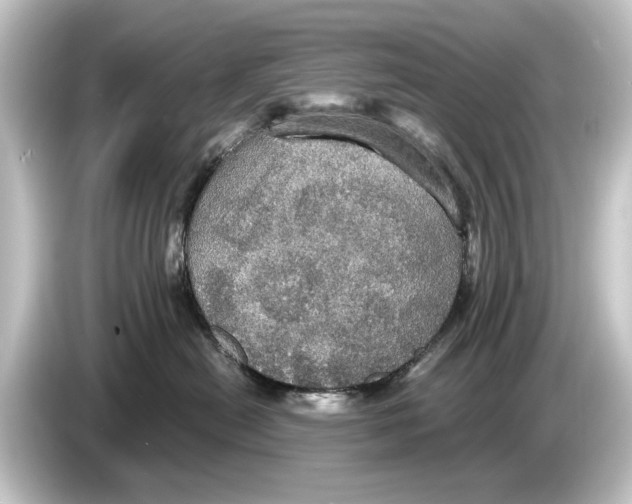 X0000084530478200703161612