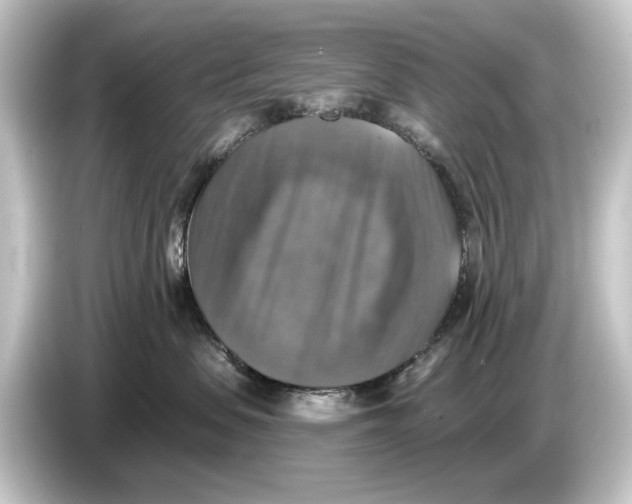 X0000084530479200703161612