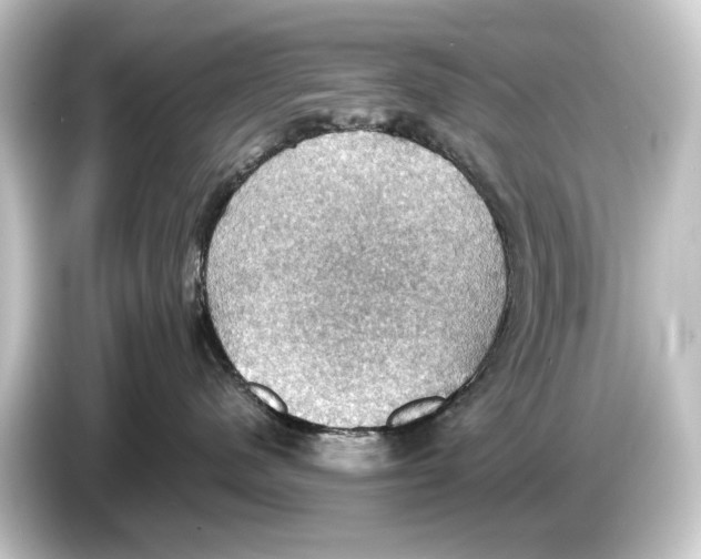 X0000084530480200703161612